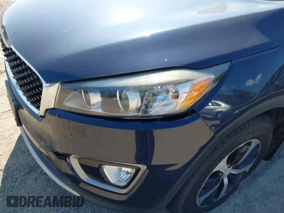 2016 Kia Sorento EX with VIN 5XYPH4A17GG029893, listed as a IAAI auction lot 43178157 with Not provided miles and . Bid and sale history available at DreamBid. Image 6.