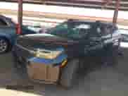 2024 Hyundai Santa Fe Calligraphy z VIN 5NMP54GL4RH043227, wystawiony jako IAAI lot #42673399 z przebiegiem 10 958 mil mil oraz . Historia ofert i sprzedaży dostępna na DreamBid. Obrazek 2.