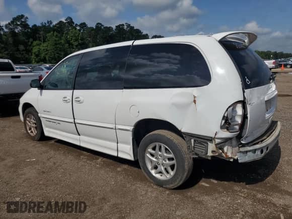 1999 Dodge Caravan SE with VIN 1B4GP44G2XB916067, listed as a Copart auction lot 61274405 with 118,356 mi miles and Salvage title. Bid and sale history available at DreamBid. Image 2.