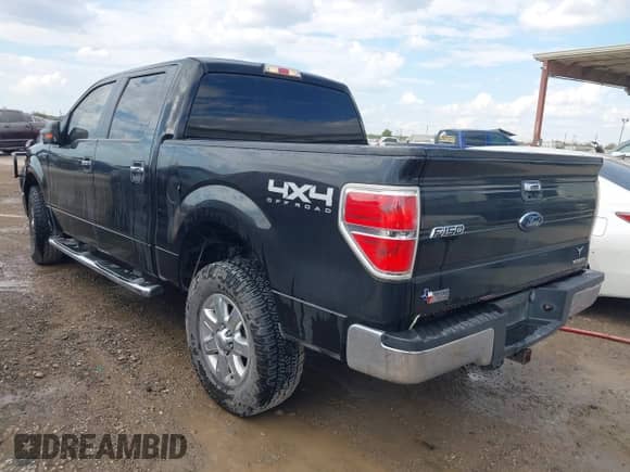 2014 Ford F-150 XLT with VIN 1FTFW1EF9EKD51674, listed as a IAAI auction lot 43359729 with 223,352 mi miles and . Bid and sale history available at DreamBid. Image 3.
