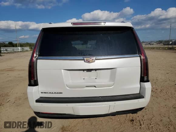 2020 Cadillac Escalade Premium Luxury с VIN 1GYS4CKJ1LR156921, выставлен на аукционе Copart как лот 79101074 с пробегом 80 991 миль миль и Списание • Salvage title. История ставок и продаж доступна на DreamBid. Изображение 6.