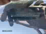 2017 Toyota Sienna LE Auto Access Seat z VIN 5TDKZ3DC9HS824849, wystawiony jako Copart lot #68481085 z przebiegiem Nie podano mil oraz Szkoda całkowita • Salvage title. Historia ofert i sprzedaży dostępna na DreamBid. Obrazek 14.