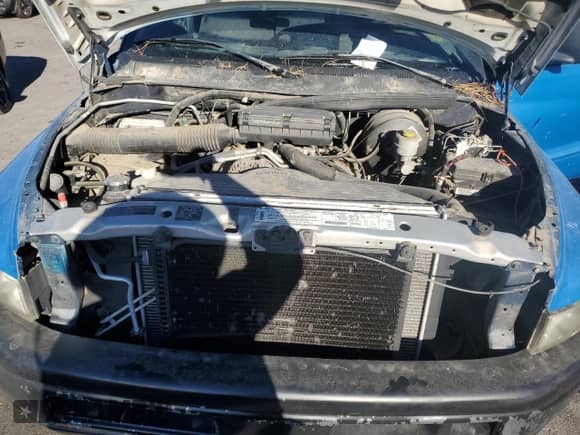 2001 Dodge 1500 с VIN 3B7HC12Y51G179118, выставлен на аукционе Copart как лот 80595094 с пробегом 188 633 миль миль и Списание • Salvage title. История ставок и продаж доступна на DreamBid. Изображение 11.