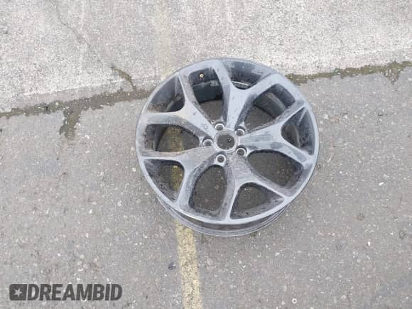 1995 Nissan Frontier SE with VIN 1N6HD16Y9SC458872, listed as a IAAI auction lot 41809314 with 184,016 mi miles and . Bid and sale history available at DreamBid. Image 12.