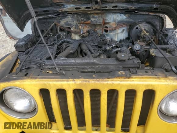 2000 Jeep Wrangler SE with VIN 1J4FA29P9YP787126, listed as a Copart auction lot 69889405 with Not provided miles and Non repairable. Bid and sale history available at DreamBid. Image 11.