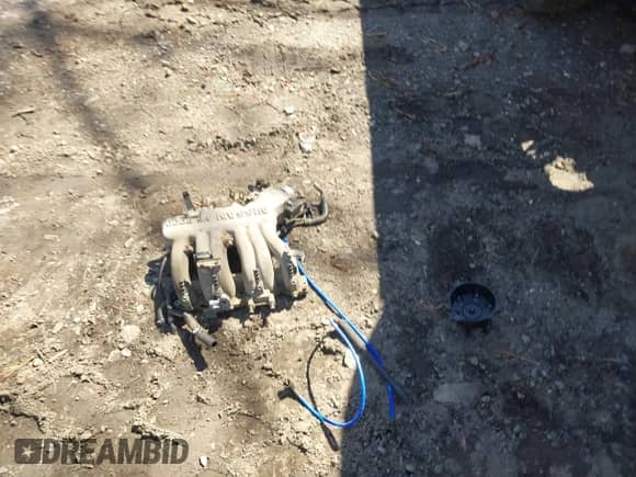 1995 Nissan Frontier SE with VIN 1N6HD16Y5SC305518, listed as a IAAI auction lot 41836437 with 216,556 mi miles and . Bid and sale history available at DreamBid. Image 12.