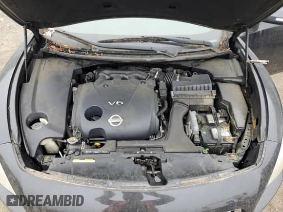 2012 Nissan Maxima SV с VIN 1N4AA5AP2CC804061, выставлен на аукционе Copart как лот 62809505 с пробегом 204 629 миль миль и Чистый • Clean title. История ставок и продаж доступна на DreamBid. Изображение 11.