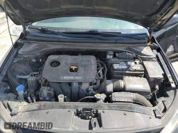 2018 Hyundai Elantra SEL z VIN 5NPD84LF6JH274907, wystawiony jako Copart lot #70494875 z przebiegiem 186 268 mil mil oraz Szkoda całkowita • Salvage title. Historia ofert i sprzedaży dostępna na DreamBid. Obrazek 11.