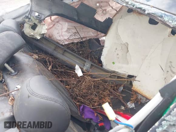 2009 Honda Accord EX-L с VIN 1HGCS12859A001265, выставлен на аукционе IAAI как лот 43384729 с пробегом Не указан миль и . История ставок и продаж доступна на DreamBid. Изображение 8.