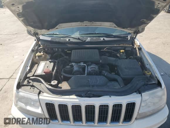 2002 Jeep Grand Cherokee Limited with VIN 1J4GX58N12C282300, listed as a Copart auction lot 74939754 with 166,018 mi miles and Salvage title. Bid and sale history available at DreamBid. Image 13.