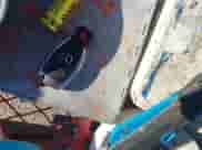 2014 Mercedes-Benz C 300 Sport with VIN WDDGF8AB7ER309842, listed as a IAAI auction lot 43539292 with 171,447 mi miles and . Bid and sale history available at DreamBid. Image 10.