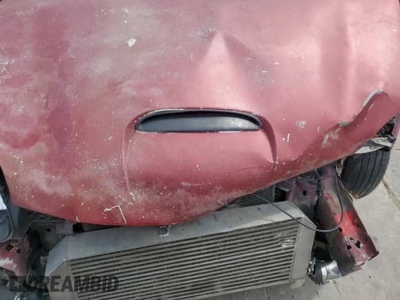 2005 Dodge Neon SRT-4 with VIN 1B3ES66S95D194878, listed as a Copart auction lot 59687025 with 205,297 mi miles and Salvage title. Bid and sale history available at DreamBid. Image 11.