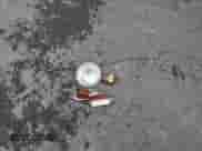 1968 Dodge RAM with VIN 1381787835, listed as a Copart auction lot 60907255 with 50,569 mi miles and Salvage title. Bid and sale history available at DreamBid. Image 12.