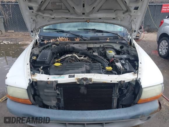 2001 Dodge Dakota with VIN 1B7GG26X51S293412, listed as a IAAI auction lot 41867651 with Not provided miles and . Bid and sale history available at DreamBid. Image 10.