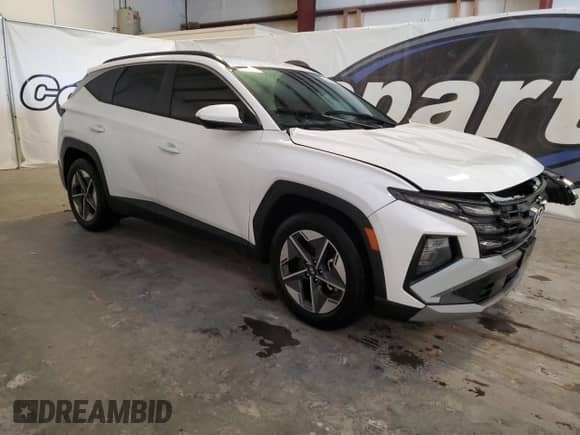 2025 Hyundai Tucson SEL with VIN 5NMJB3DE9SH457432, listed as a Copart auction lot 90359445 with 54,569 mi miles and Non repairable. Bid and sale history available at DreamBid. Image 4.