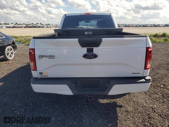 2016 Ford F-150 XL z VIN 1FTEX1C84GFD59450, wystawiony jako Copart lot #80786825 z przebiegiem 136 172 mil mil oraz Szkoda całkowita • Salvage title. Historia ofert i sprzedaży dostępna na DreamBid. Obrazek 6.