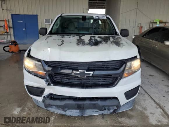 2018 Chevrolet Colorado 2WD Work Truck with VIN 1GCHSBEA7J1191759, listed as a Copart auction lot 61990805 with 123,334 mi miles and Salvage title. Bid and sale history available at DreamBid. Image 5.