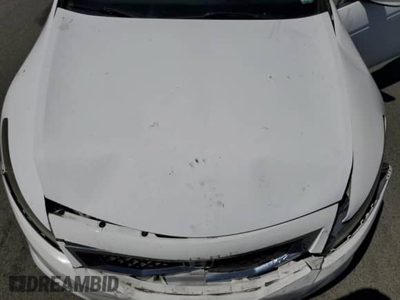 2010 Honda Accord LX-S with VIN 1HGCS1B35AA011836, listed as a Copart auction lot 69848815 with 174,427 mi miles and Salvage title. Bid and sale history available at DreamBid. Image 11.