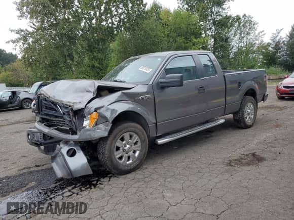 2014 Ford F-150 XL с VIN 1FTEX1EM6EFB77191, выставлен на аукционе Copart как лот 80015425 с пробегом 99 968 миль миль и Списание • Salvage title. История ставок и продаж доступна на DreamBid. Изображение 1.