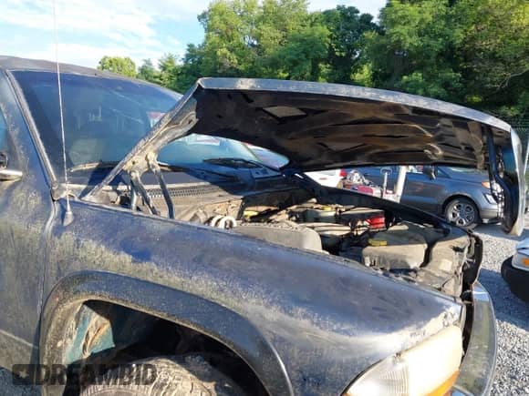 2002 Dodge Dakota SLT with VIN 1B7HG48N82S682686, listed as a IAAI auction lot 42632078 with Not provided miles and . Bid and sale history available at DreamBid. Image 6.