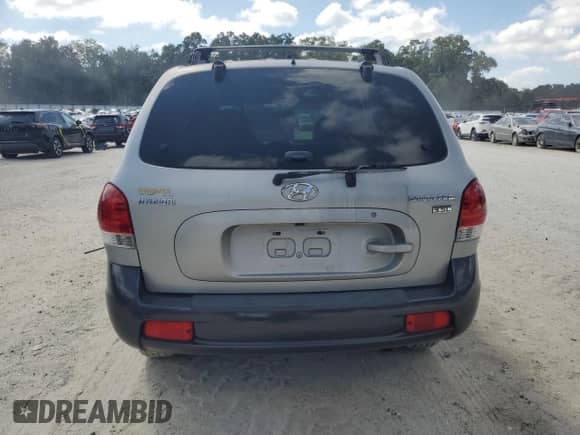2005 Hyundai Santa Fe GLS with VIN KM8SC13E15U881381, listed as a Copart auction lot 81726165 with 157,156 mi miles and Salvage title. Bid and sale history available at DreamBid. Image 6.
