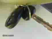 2013 Toyota Sienna LE AAS с VIN 5TDKK3DC0DS399195, выставлен на аукционе IAAI как лот 42378547 с пробегом 84 900 миль миль и . История ставок и продаж доступна на DreamBid. Изображение 11.