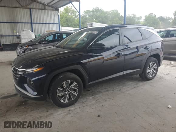 2022 Hyundai Tucson Blue with VIN KM8JBCA14NU018875, listed as a Copart auction lot 67028315 with 273,692 mi miles and Clean title. Bid and sale history available at DreamBid. Image 1.