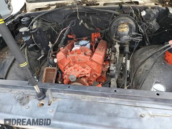 1976 Chevrolet Silverado 2500 with VIN CCL246Z150987, listed as a Copart auction lot 52773825 with 74,034 mi miles and Clean title. Bid and sale history available at DreamBid. Image 11.