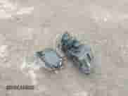 2022 Chevrolet Colorado 2WD Work Truck с VIN 1GCGSBEN1N1124031, выставлен на аукционе IAAI как лот 42102758 с пробегом 77 508 миль миль и . История ставок и продаж доступна на DreamBid. Изображение 12.