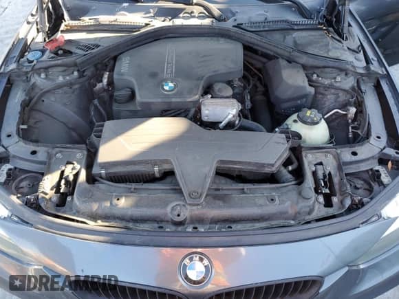 2017 BMW 3 Series 320i with VIN WBA8A9C50HK619674, listed as a Copart auction lot 87458225 with 200,331 mi miles and Clean title. Bid and sale history available at DreamBid. Image 11.