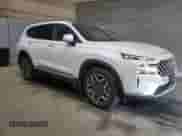 2022 Hyundai Santa Fe Limited with VIN KM8S5DA12NU026538, listed as a Copart auction lot 66695195 with 52,351 mi miles and Salvage title. Bid and sale history available at DreamBid. Image 4.