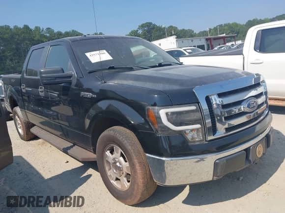 2009 Ford F-150 XL with VIN 1FTRW12809FA72857, listed as a IAAI auction lot 42571300 with 194,316 mi miles and . Bid and sale history available at DreamBid. Image 1.