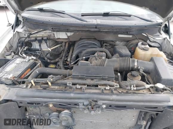 2009 Ford F-150 XL z VIN 1FTRF12819KB23175, wystawiony jako IAAI lot #40892119 z przebiegiem 264 352 mil mil oraz . Historia ofert i sprzedaży dostępna na DreamBid. Obrazek 10.