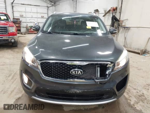 2016 Kia Sorento EX с VIN 5XYPH4A56GG159733, выставлен на аукционе IAAI как лот 42792597 с пробегом 117 439 миль миль и . История ставок и продаж доступна на DreamBid. Изображение 12.