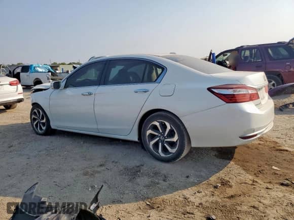 2017 Honda Accord EX-L with VIN 1HGCR2F99HA179909, listed as a Copart auction lot 81424195 with Not provided miles and Clean title. Bid and sale history available at DreamBid. Image 2.