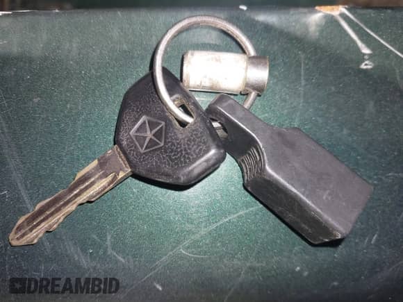 2000 Dodge 1500 Work Special с VIN 1B7HC16XXYS595802, выставлен на аукционе IAAI как лот 41389779 с пробегом 88 323 миль миль и . История ставок и продаж доступна на DreamBid. Изображение 11.