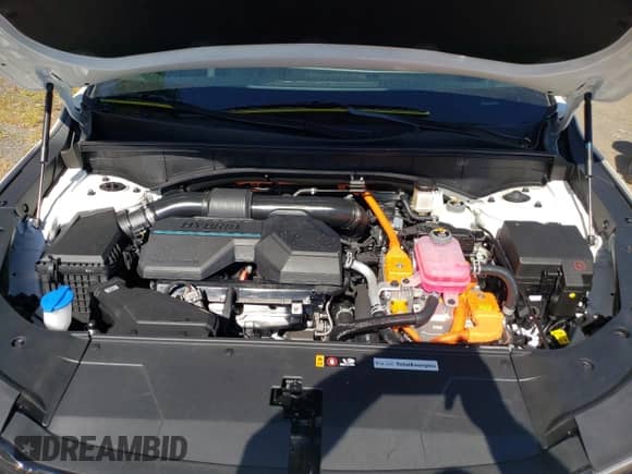 2025 Kia Sorento EX с VIN KNDRHDJGXS5335842, выставлен на аукционе Copart как лот 71665065 с пробегом 55 миль миль и Списание • Salvage title. История ставок и продаж доступна на DreamBid. Изображение 11.