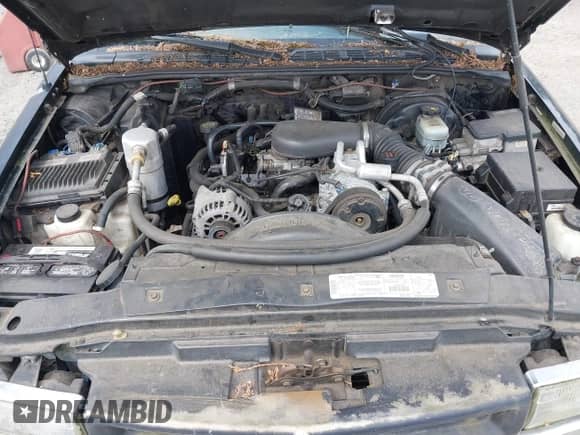 1998 Chevrolet S-10 LS with VIN 1GCCS19X0W8190289, listed as a IAAI auction lot 42342516 with Not provided miles and . Bid and sale history available at DreamBid. Image 10.