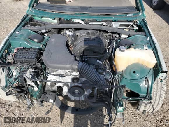 2021 Dodge Charger Police with VIN 2C3CDXKG1MH595712, listed as a Copart auction lot 54206025 with Not provided miles and Clean title. Bid and sale history available at DreamBid. Image 11.