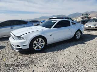 2014 Ford Mustang GT z VIN 1ZVBP8CF0E5285180, wystawiony jako Copart lot #70536075 z przebiegiem 81 539 mil mil oraz Szkoda całkowita • Salvage title. Historia ofert i sprzedaży dostępna na DreamBid. Obrazek 1.