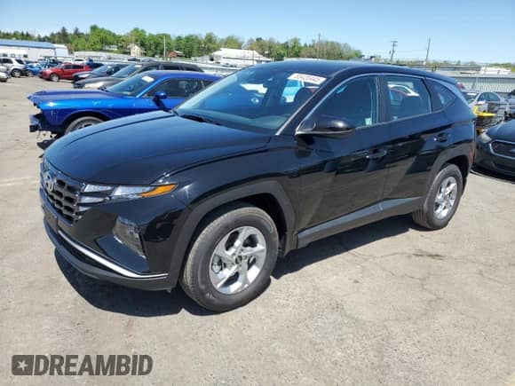 2024 Hyundai Tucson with VIN NMJACDE2RH415570, listed as a Copart auction lot 55420445 with 4,186 mi miles and Salvage title. Bid and sale history available at DreamBid. Image 1.