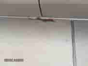 2002 Nissan Frontier XE with VIN 1N6DD26S82C332101, listed as a IAAI auction lot 42788795 with 149,115 mi miles and . Bid and sale history available at DreamBid. Image 6.