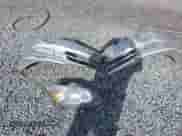 2004 Toyota Corolla CE с VIN 1NXBR32E24Z310332, выставлен на аукционе IAAI как лот 43365076 с пробегом 234 226 миль миль и . История ставок и продаж доступна на DreamBid. Изображение 12.