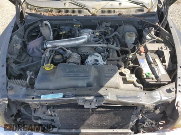 2000 Dodge Dakota Sport with VIN 1B7GG22NXYS574684, listed as a Copart auction lot 56360755 with 119,454 mi miles and Salvage title. Bid and sale history available at DreamBid. Image 11.