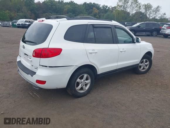 2007 Hyundai Santa Fe GLS z VIN 5NMSG73D87H065555, wystawiony jako IAAI lot #43310737 z przebiegiem 145 333 mil mil oraz . Historia ofert i sprzedaży dostępna na DreamBid. Obrazek 4.