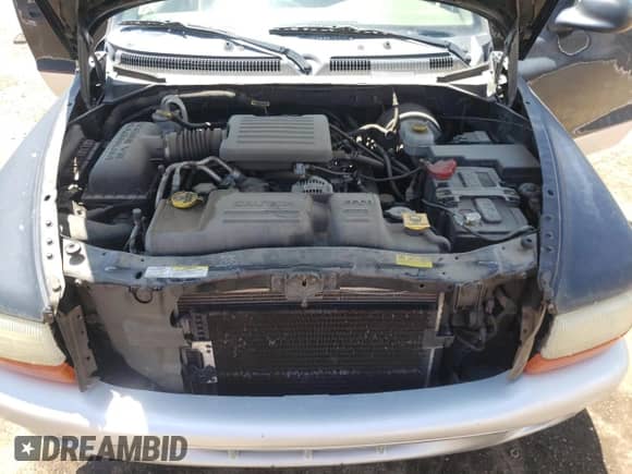 2003 Dodge Dakota SLT с VIN 1D7HL48N93S114465, выставлен на аукционе Copart как лот 60556575 с пробегом 218 600 миль миль и Чистый • Clean title. История ставок и продаж доступна на DreamBid. Изображение 11.