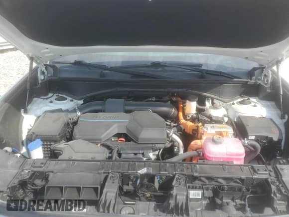 2024 Hyundai Santa Fe SEL z VIN 5NMP2DG13RH011375, wystawiony jako Copart lot #81642725 z przebiegiem 17 575 mil mil oraz Szkoda całkowita • Salvage title. Historia ofert i sprzedaży dostępna na DreamBid. Obrazek 12.