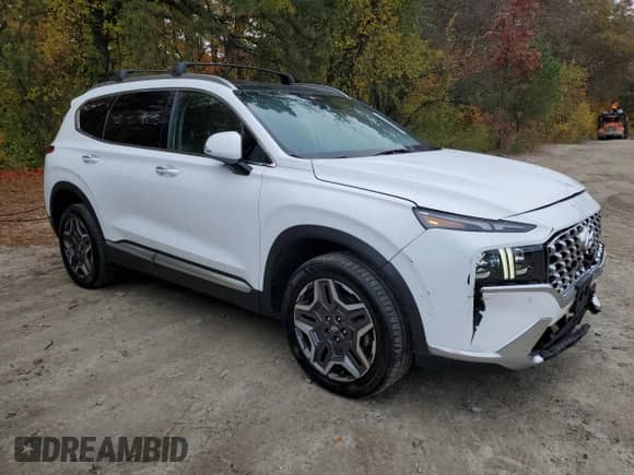 2023 Hyundai Santa Fe Limited с VIN 5NMS5DA16PH011975, выставлен на аукционе Copart как лот 90034375 с пробегом 137 070 миль миль и Чистый • Clean title. История ставок и продаж доступна на DreamBid. Изображение 4.