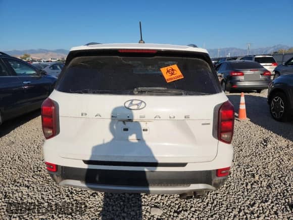 2020 Hyundai Palisade SEL with VIN KM8R2DHEXLU044881, listed as a Copart auction lot 80876265 with 67,841 mi miles and Clean title. Bid and sale history available at DreamBid. Image 6.