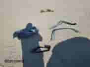 2020 Jeep Compass Limited with VIN 3C4NJDCB6LT236036, listed as a Copart auction lot 65977365 with 31,846 mi miles and Non repairable. Bid and sale history available at DreamBid. Image 13.